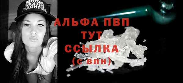 прущие грибы Абинск