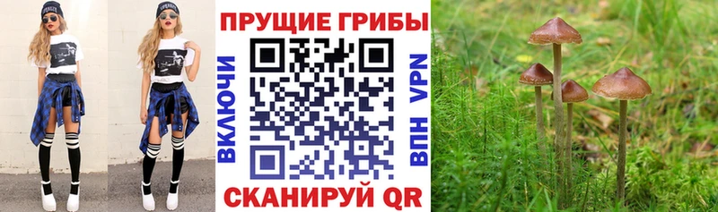 гидра рабочий сайт  наркота  Разумное  Псилоцибиновые грибы мицелий 